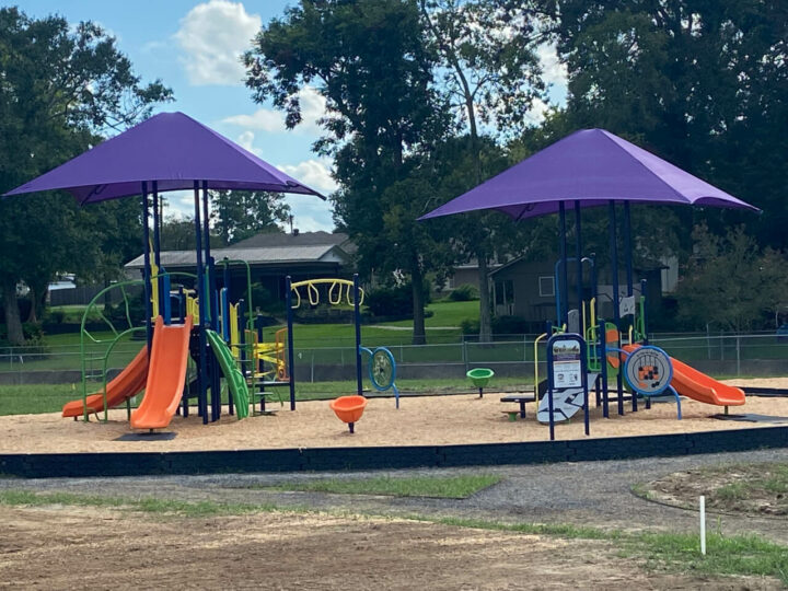 Bayou Shadows Lafayette Playground Equipment from Planet Recess