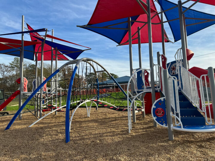 Forest Elementary School Playground Equipment from Planet Recess