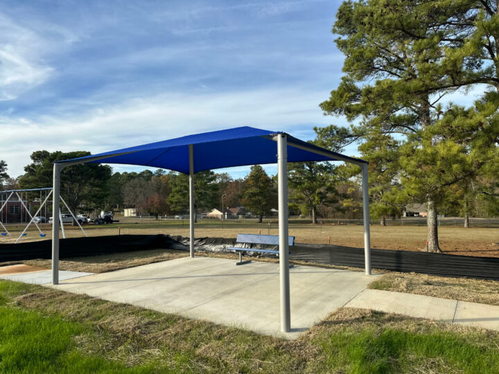 Forest Elementary School Canopy from Planet Recess