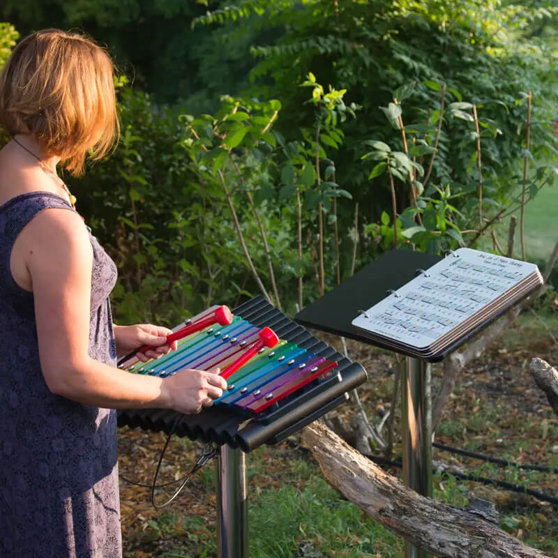 Percussion Play Cavatina