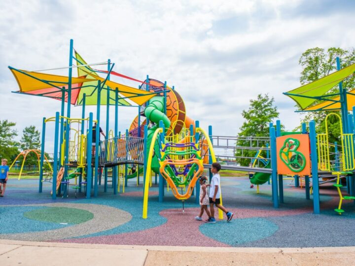 Planet Recess Park Field Of Dreams 12