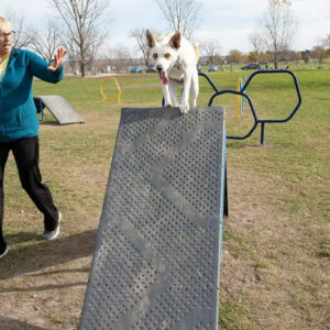 Play4pups By Burke Dog Park Equipment Louisiana Mississippi